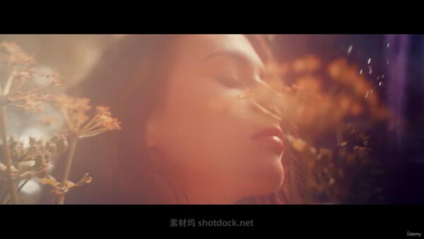 专业音乐视频创作获奖秘诀 Professional Music Video Creation Award Winning Secrets