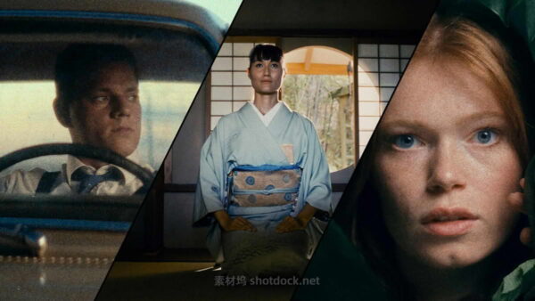 胶片模拟视频调色插件 Dehancer Pro 达芬奇/FCPX/AE/PR/PS/LR Mac/Win Dehancer Film Pro 7.3.4版