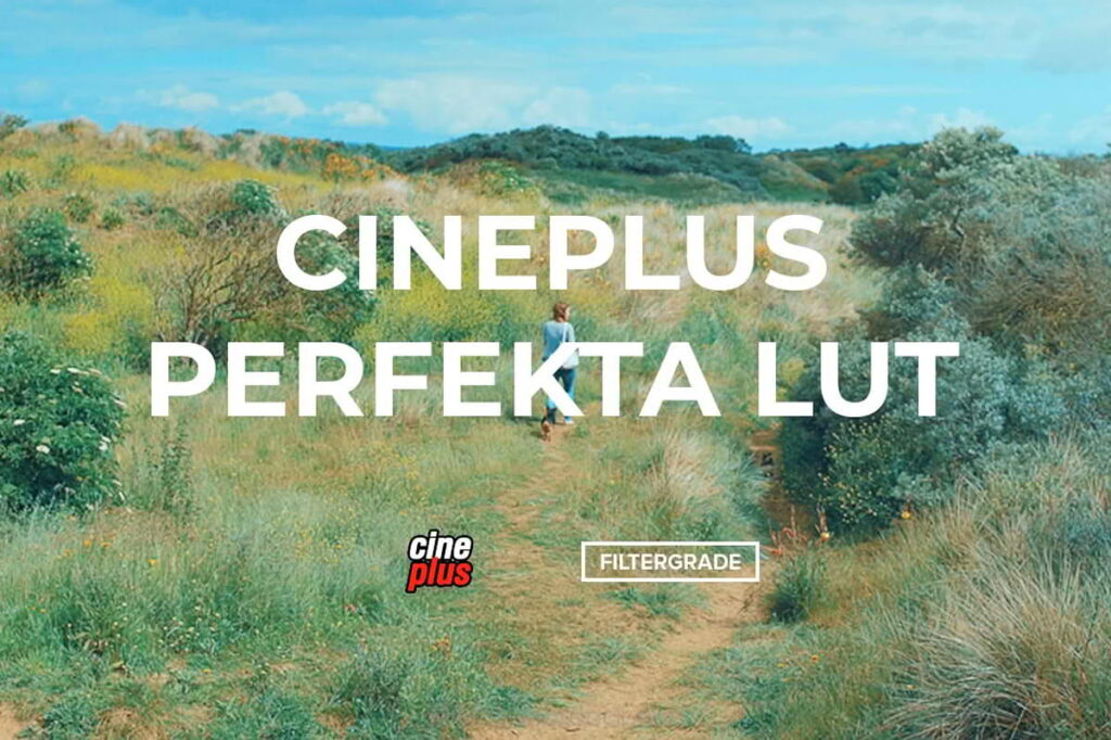 LUT适用于各种电影风格调色/可在后期软件中使用-Cineplus Perfekta LUT插图 LUT适用于各种电影风格调色/可在后期软件中使用-Cineplus Perfekta LUT插图
