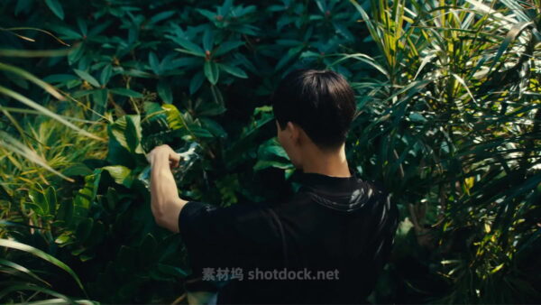 全新奈飞电影美学柯达250D胶片仿真模拟色彩外观LUT调色预设 Kodak 250D Cinematic LUTs