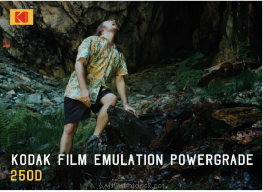 达芬奇调色预设仿真柯达电影胶片250D-FilterGrade–Davinci Resolve Kodak film emulation Powergrade插图