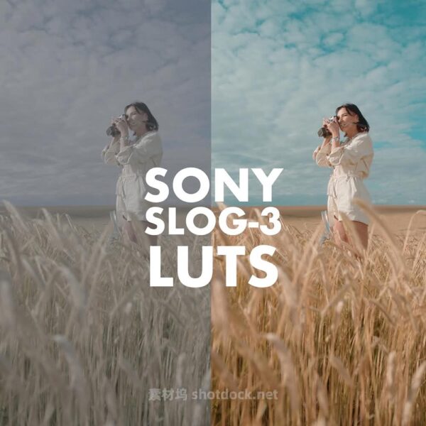 21款SONY SLOG 3电影风格还原人物肤色LUTs视频调色预设 Alexandru Don – SONY SLOG 3 LUTS – SKINTONE EDITION
