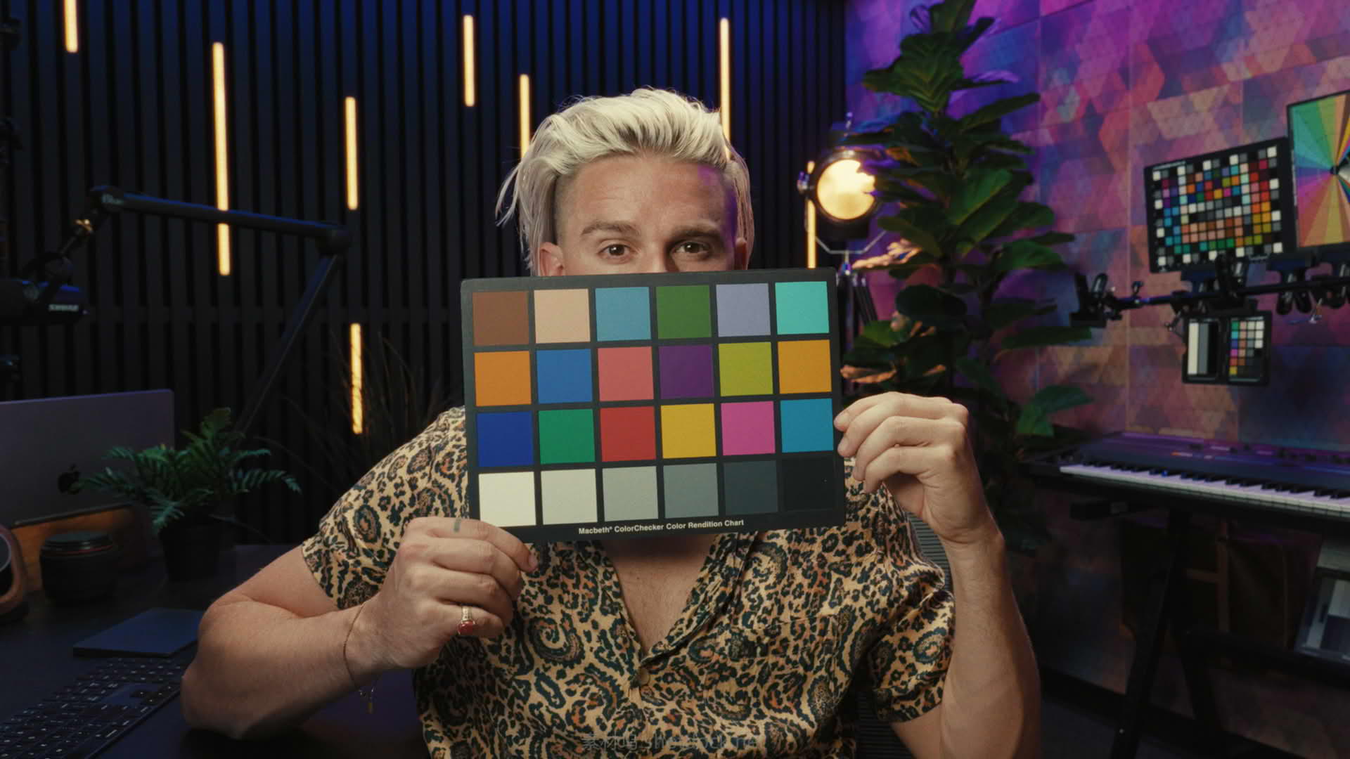 专业电影级商业广告调色LUT包干净的皮肤颜色校正:Gamut -The Creator LUT Collection插图4 Best LUTs for Content Creators - Cinematic Results Every Time007