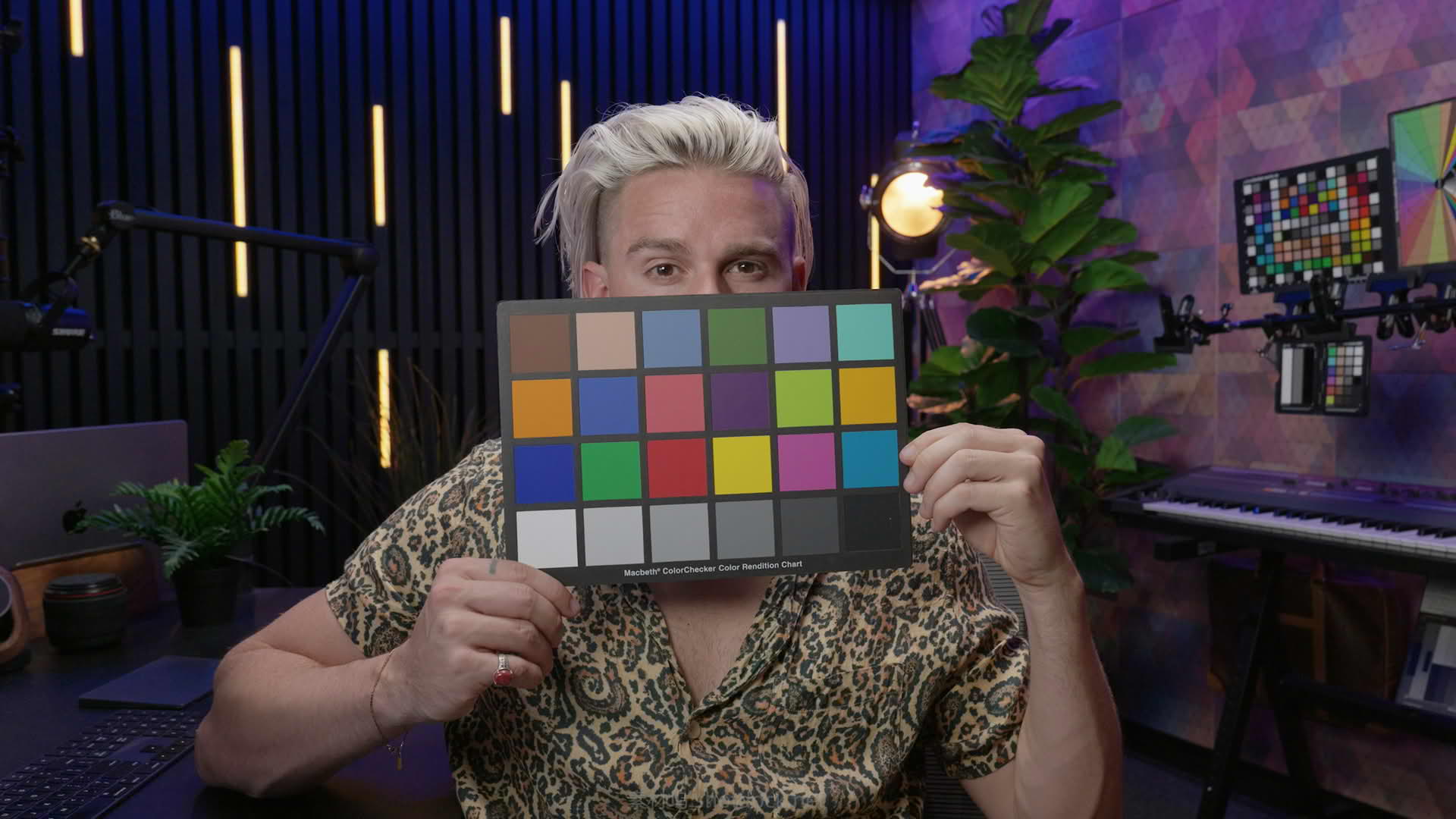 专业电影级商业广告调色LUT包干净的皮肤颜色校正:Gamut -The Creator LUT Collection插图1 Best LUTs for Content Creators - Cinematic Results Every Time010