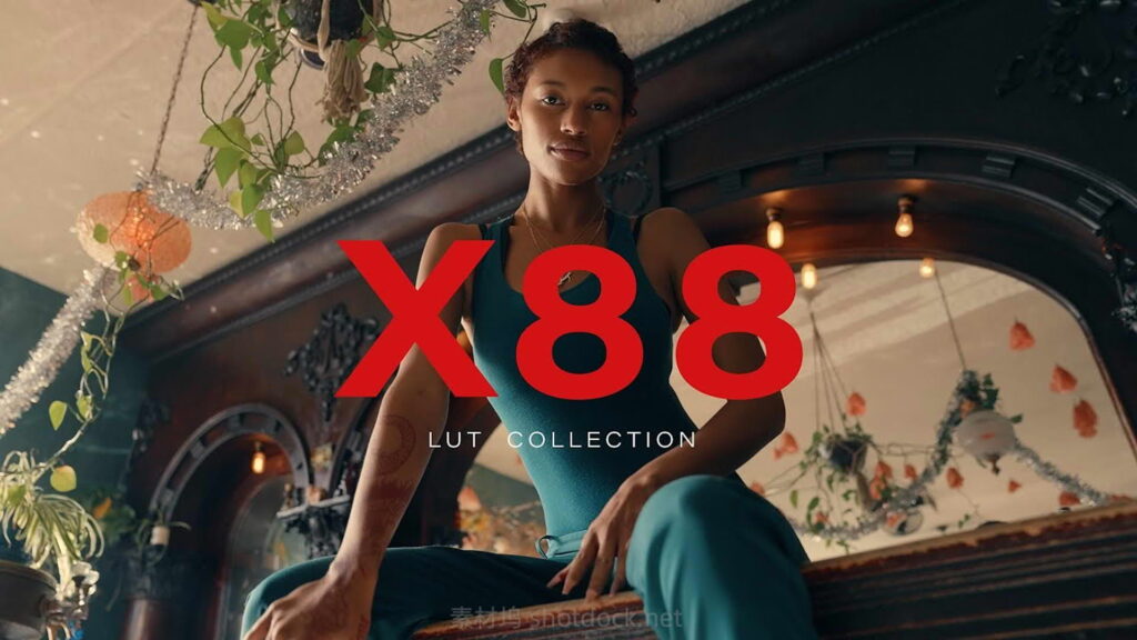 电影级别柯达胶片质感LUT-Gamut X88插图 电影级别柯达胶片质感LUT-Gamut X88插图