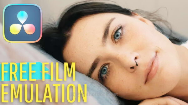 专业调色师电影模拟的方法 -使用免费工具