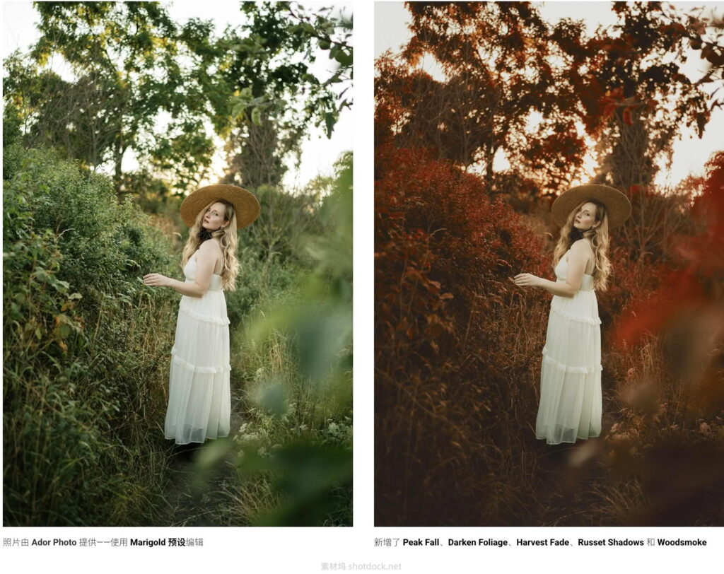 Lightroom预设秋夏日景色转化为阴郁温馨的秋景季风格调色-秋天就在你指尖Autumn at your fingertips插图4