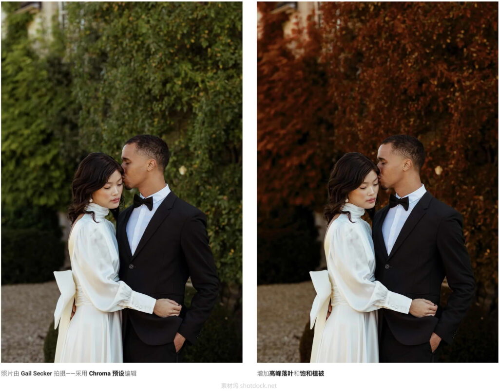 Lightroom预设秋夏日景色转化为阴郁温馨的秋景季风格调色-秋天就在你指尖Autumn at your fingertips插图2