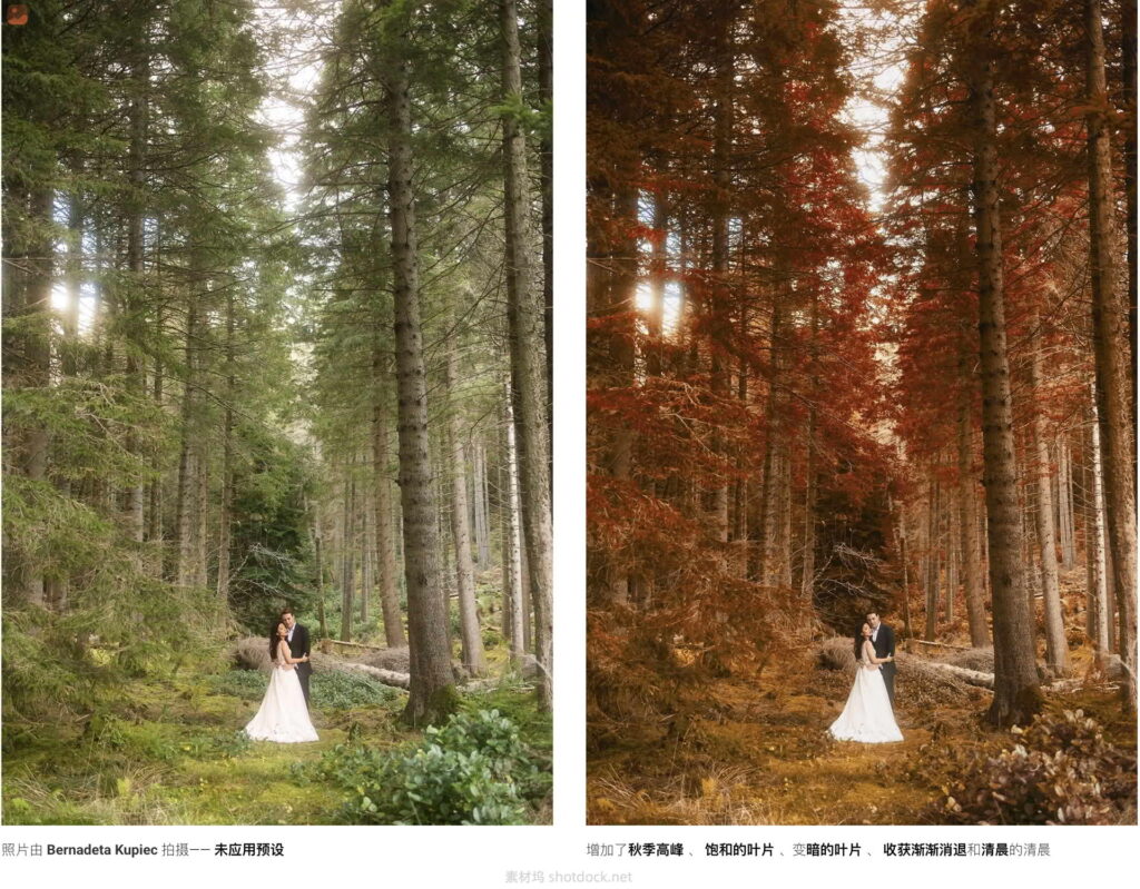 Lightroom预设秋夏日景色转化为阴郁温馨的秋景季风格调色-秋天就在你指尖Autumn at your fingertips插图1