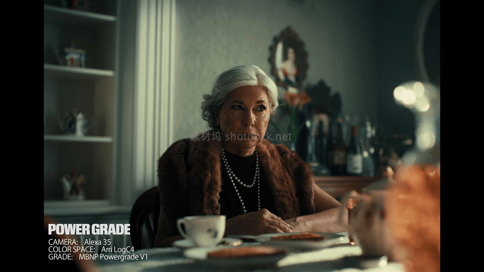 PowerGrade DaVinci Resolve Mark Bone Nik Pilecki003