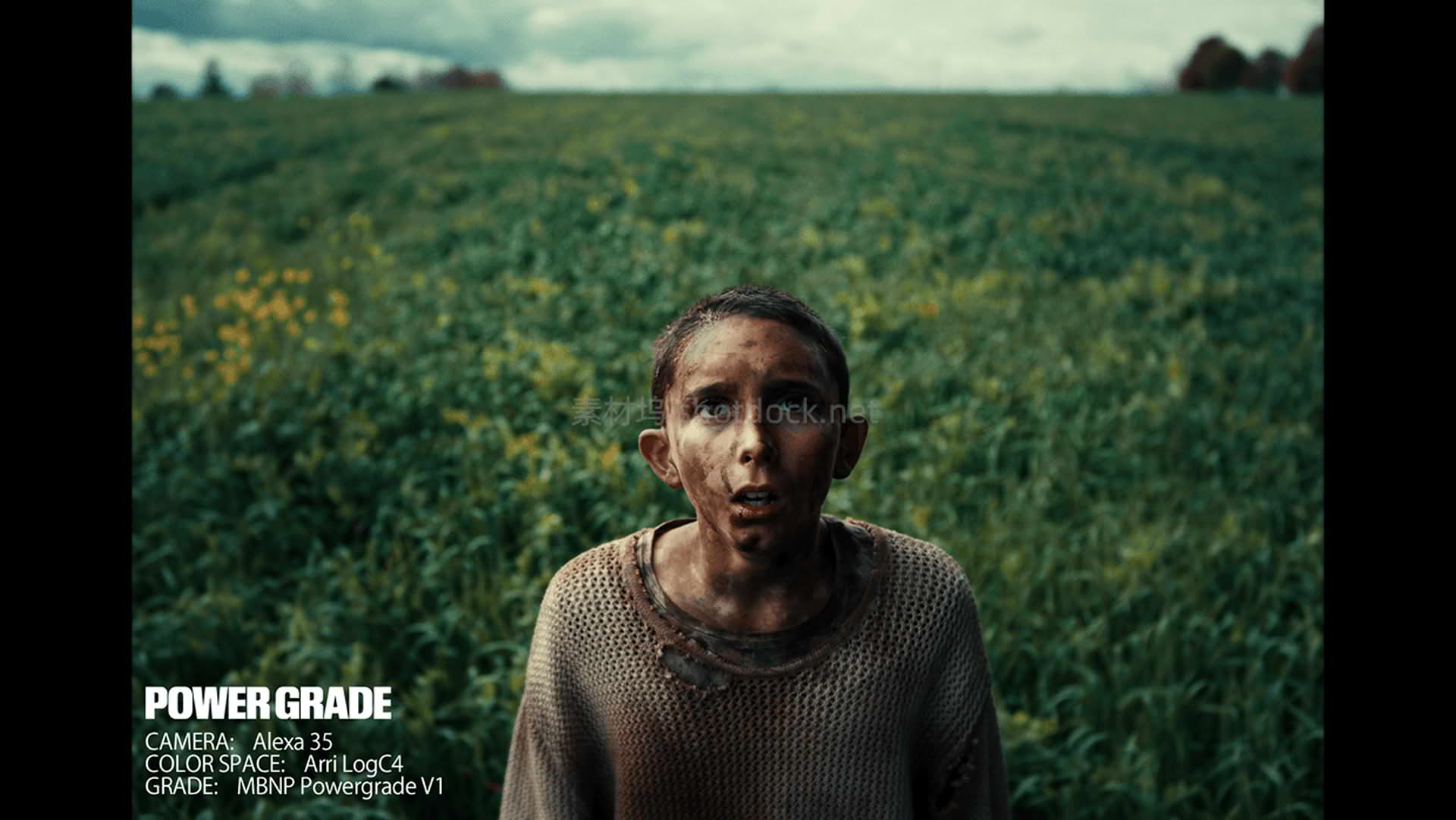 PowerGrade DaVinci Resolve Mark Bone Nik Pilecki005