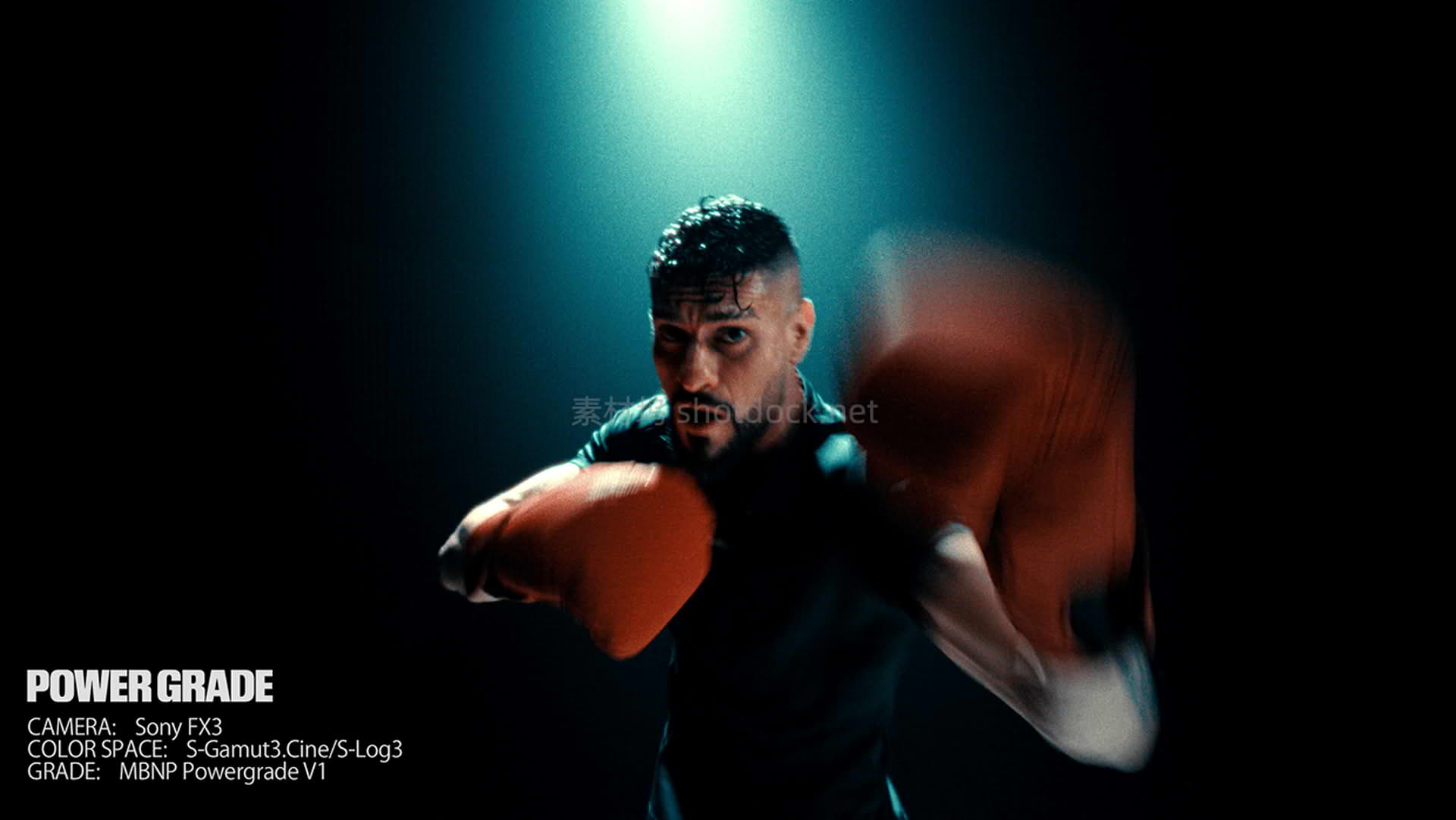 PowerGrade DaVinci Resolve Mark Bone Nik Pilecki011