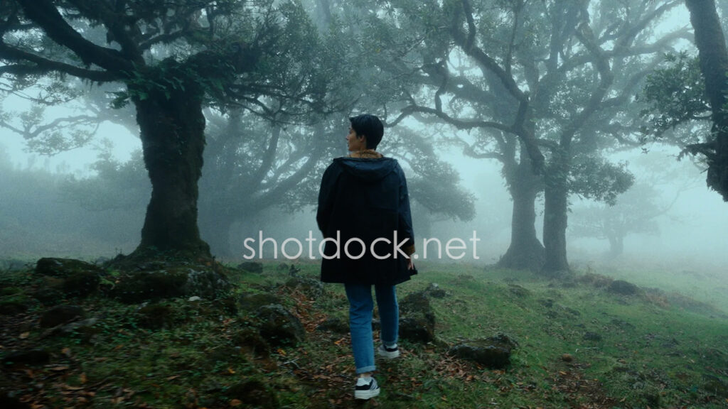 10款电影级情绪 LUT 调色包/让画面像在讲故事/一键出电影感- Cinematic V1 Video LUTs插图4 10款电影级情绪 LUT 调色包/让画面像在讲故事/一键出电影感- Cinematic V1 Video LUTs插图4