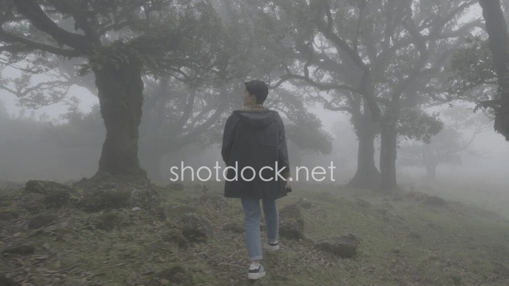 10款电影级情绪 LUT 调色包/让画面像在讲故事/一键出电影感- Cinematic V1 Video LUTs插图3 10款电影级情绪 LUT 调色包/让画面像在讲故事/一键出电影感- Cinematic V1 Video LUTs插图3