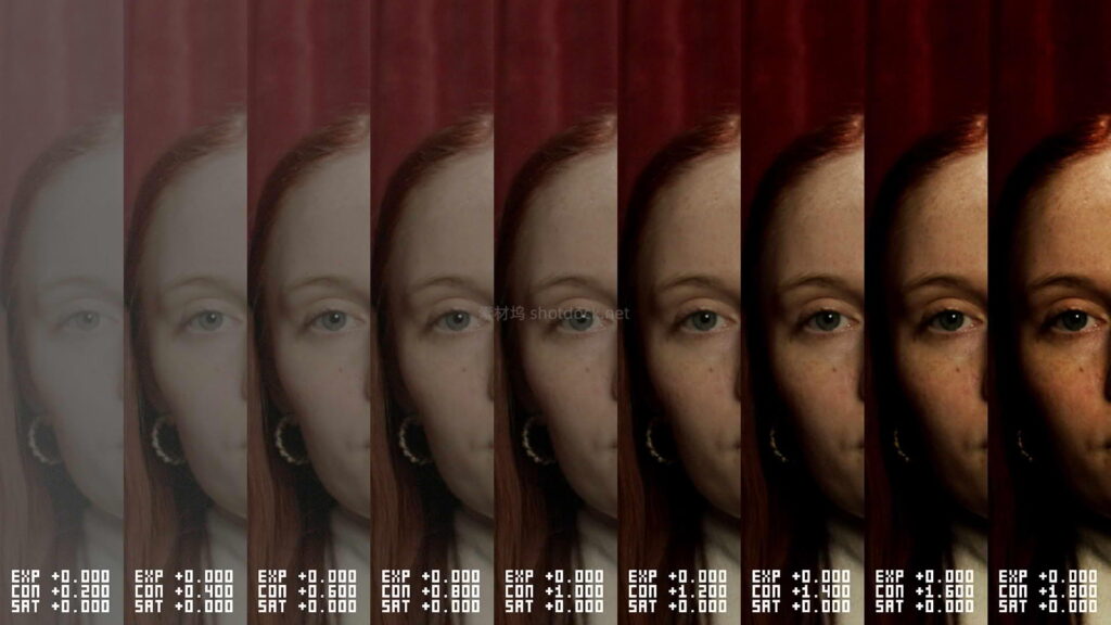 调色总拿不准曝光？，达芬奇 DCTL 神器让你一眼看清最佳参数！MONONODES – TEST STRIP DCTLS v3.0插图2