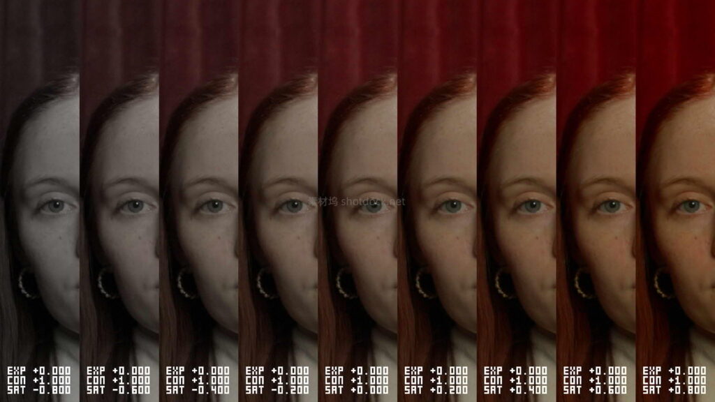 调色总拿不准曝光？，达芬奇 DCTL 神器让你一眼看清最佳参数！MONONODES – TEST STRIP DCTLS v3.0插图3