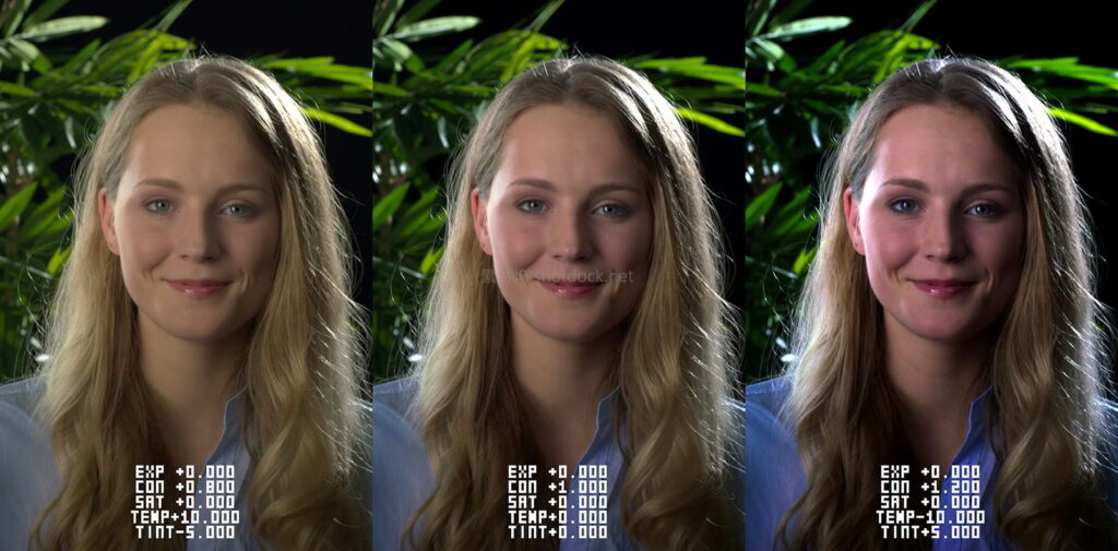 调色总拿不准曝光？，达芬奇 DCTL 神器让你一眼看清最佳参数！MONONODES – TEST STRIP DCTLS v3.0插图5