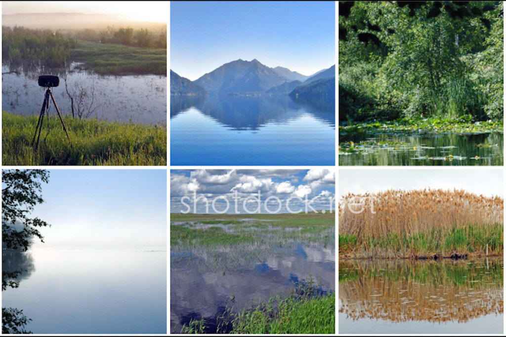 真实录制高清湿地、湖泊、沼泽环境音效：如何用声音构建一个真实的“沼泽”生态系统？Wetlands Stereo Edition插图1