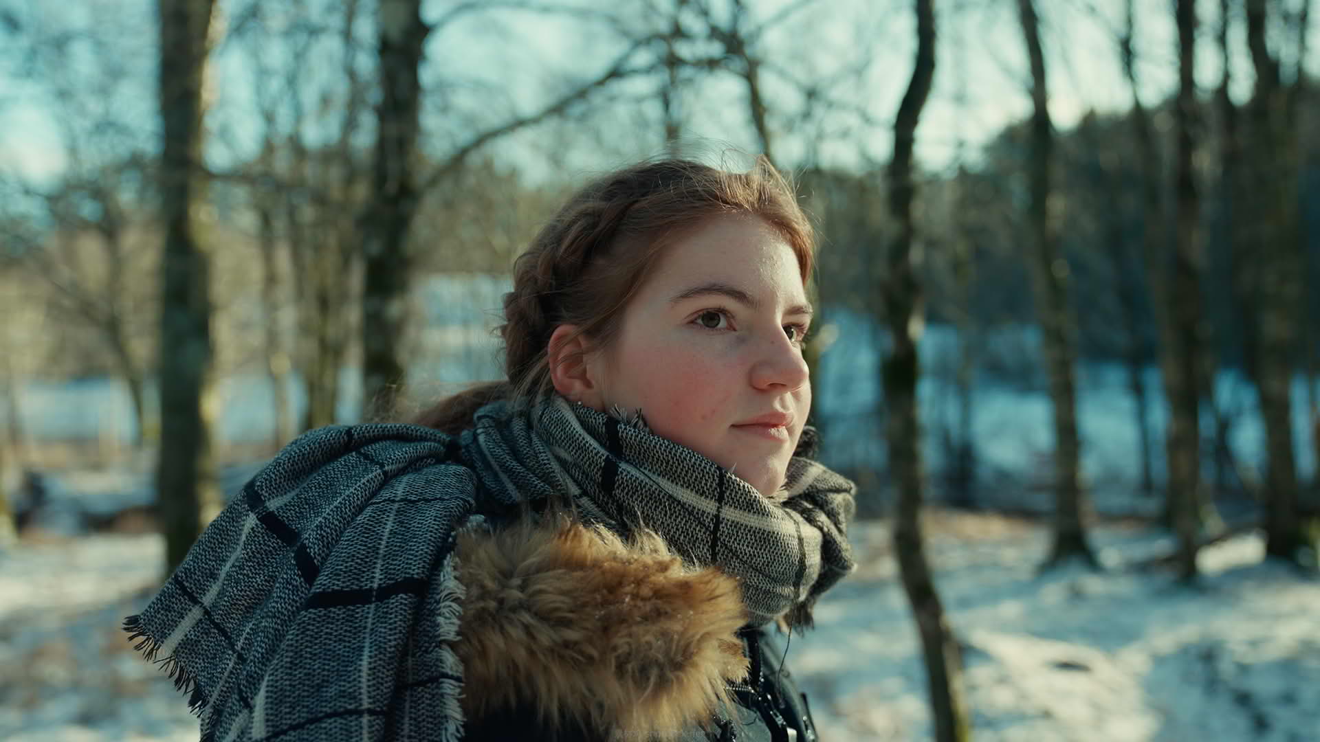 Mediabee 电影版 LUT 套装 - 32 个 LUT [第 1+2 卷] --- Mediabee Cinematic LUT Bundle - 32 LUTs [Vol 1+2]004