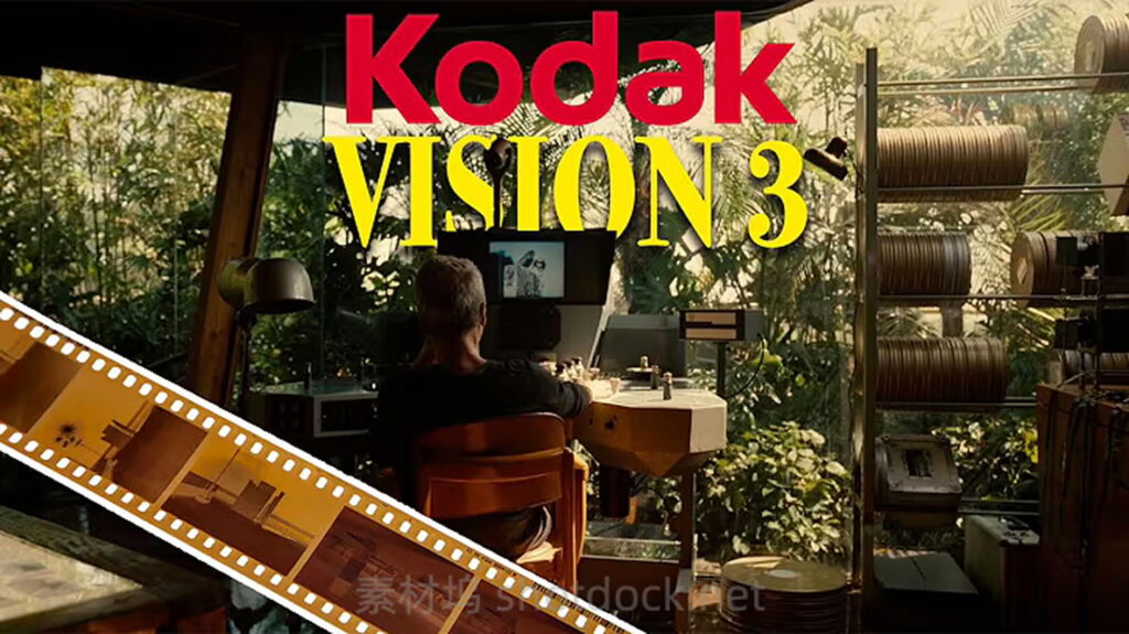 【调色预设】柯达电影卷 Kodak Vision3 500T 模拟 LUTs (照片/视频全兼容)插图